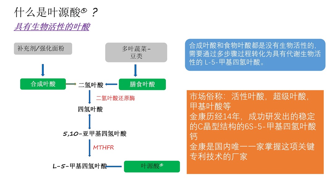 金康和信 (4).jpg