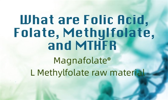 what are folic acid folate methylfolate and MTHFR.jpg