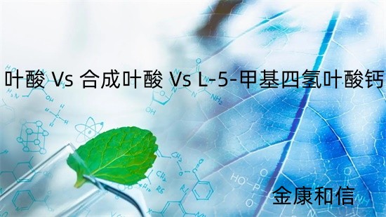 叶酸 VS L-5-甲基四氢叶酸钙.jpg