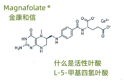 什么是活性叶酸和L-5-甲基四氢叶酸.jpg