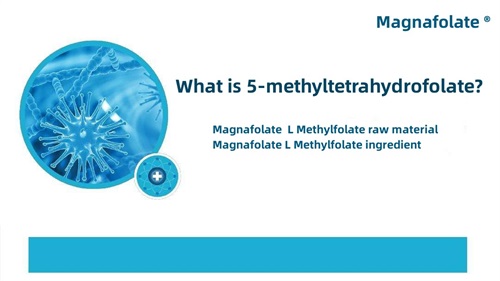 What is 5-methyltetrahydrofolate.jpg