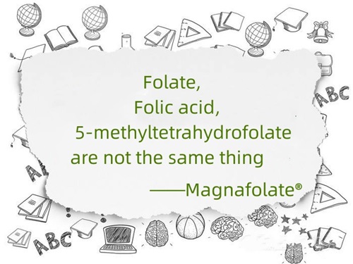 Folate Folic acid and 5-methyltetrahydrofolate are not the same thing.jpg