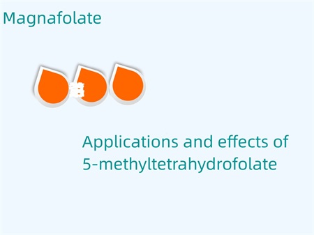 Applications and effects of 5-methyltetrahydrofolate.jpg