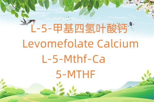 L-5-甲基四氢叶酸钙_Levomefolate Calcium_L-5-Mthf-Ca.jpg